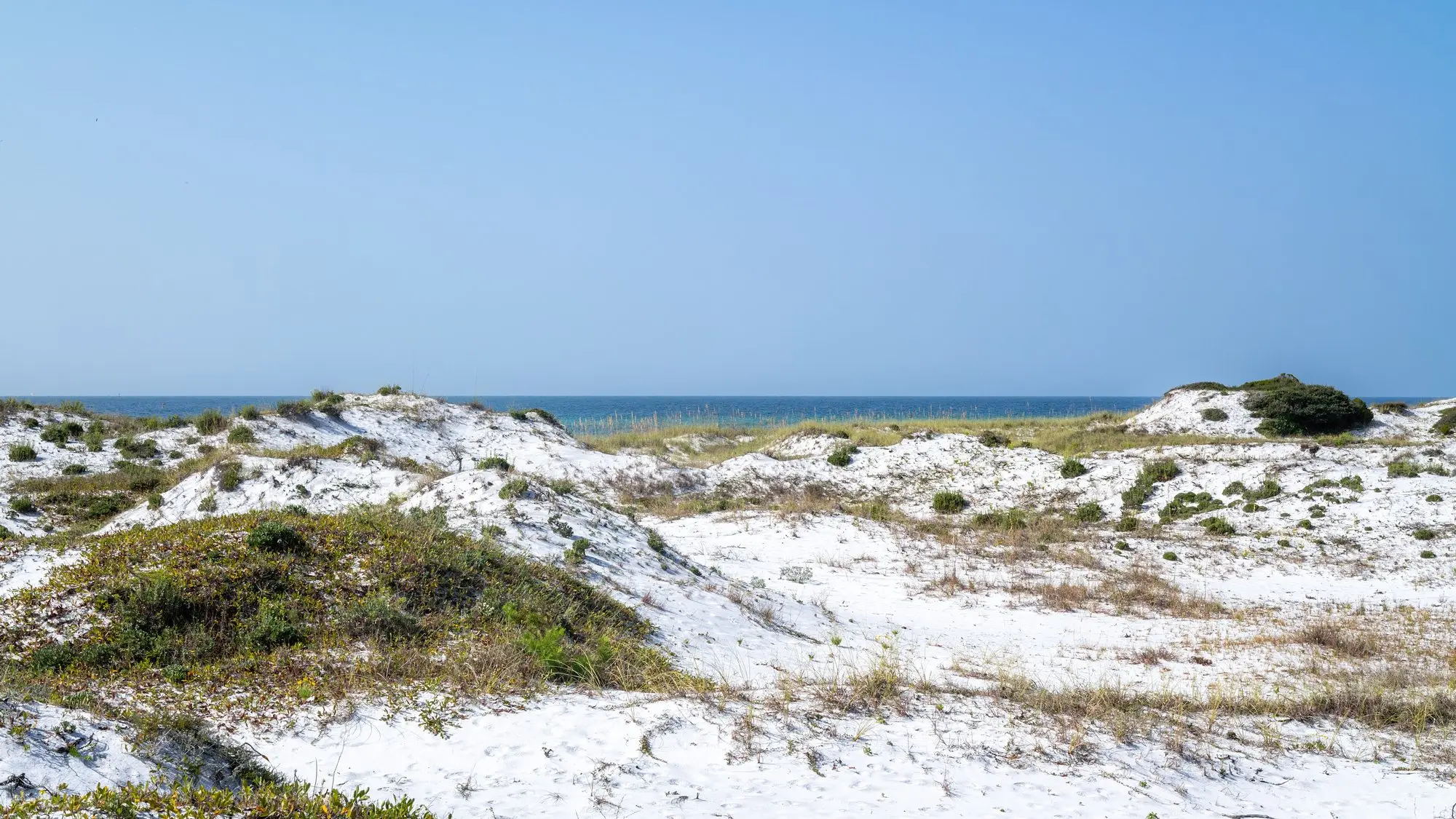 White sand dunes and coastal scrub at Topsail Hill Preserve State Park with the Gulf beyond