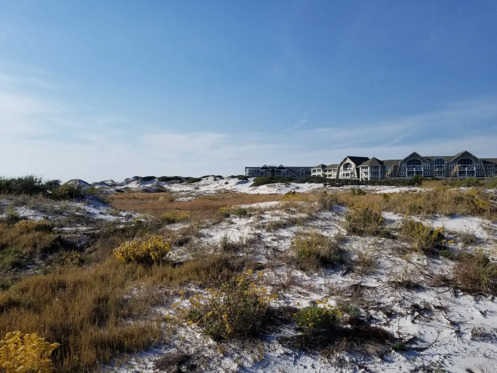Coastal scrub dunes at WaterSound on East 30A with beach houses along the far ridge