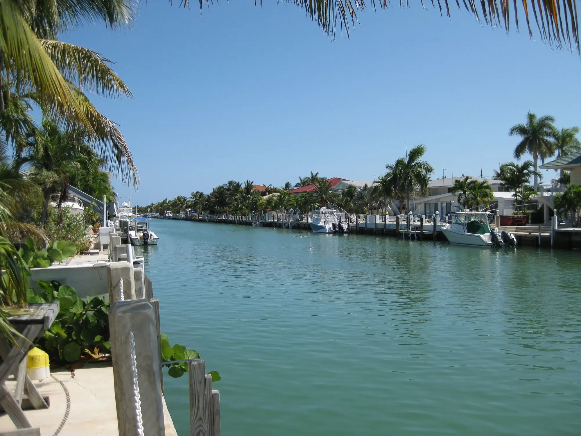 A calm canal lined with docks, boats and palm trees in Key Colony Beach