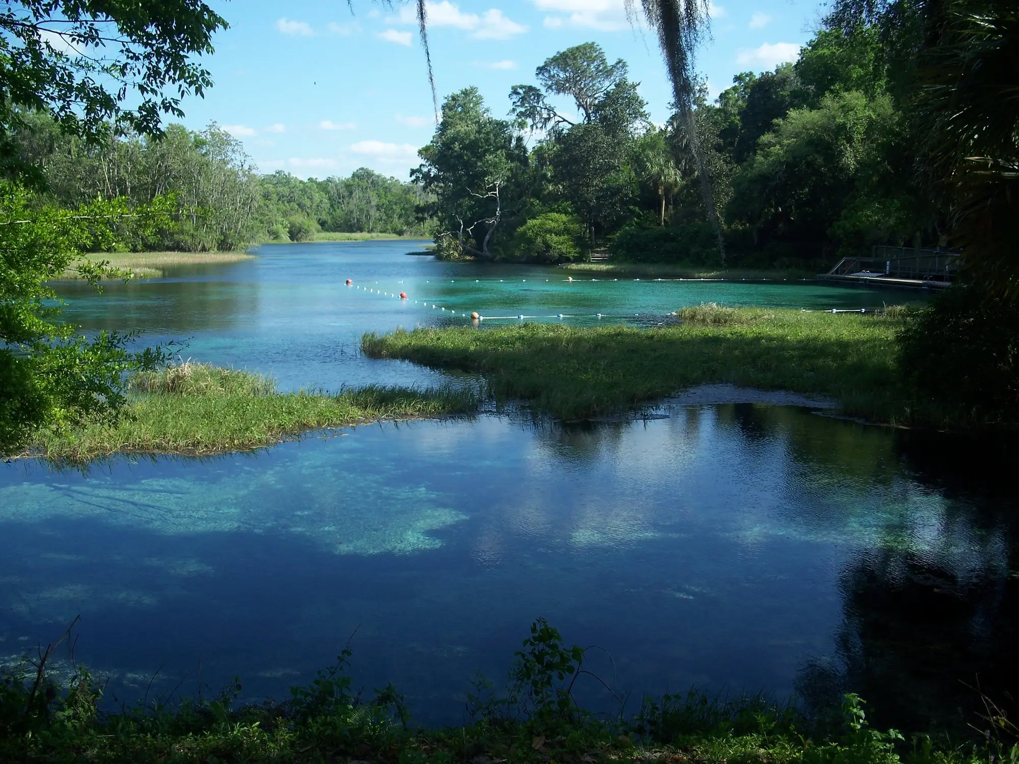 Clear blue-green water of the Rainbow River in Dunnellon, Florida