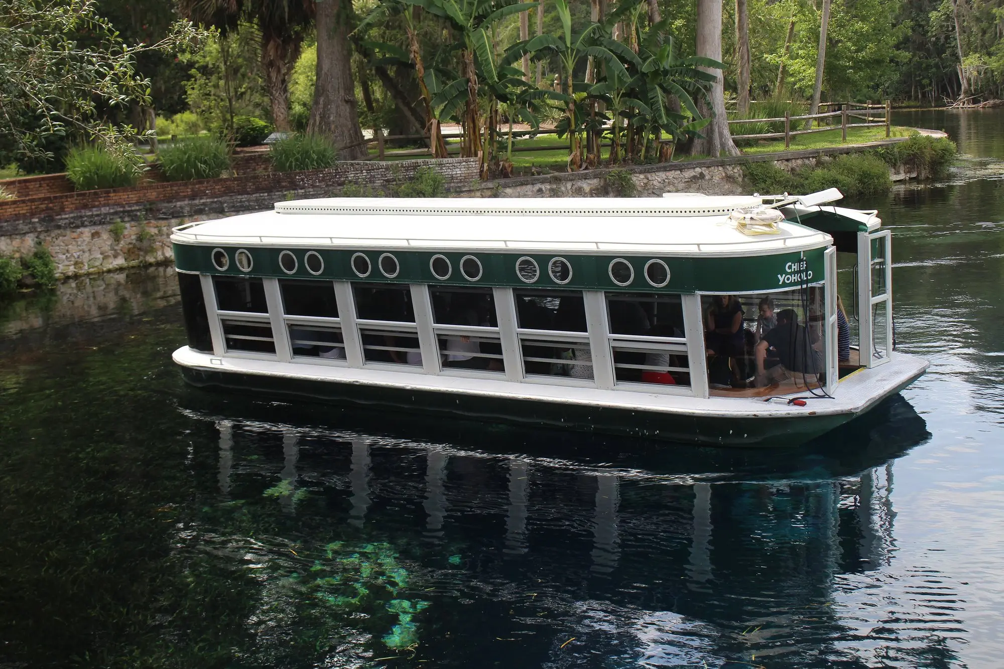 A green and white glass-bottom boat on the Silver River at Silver Springs State Park