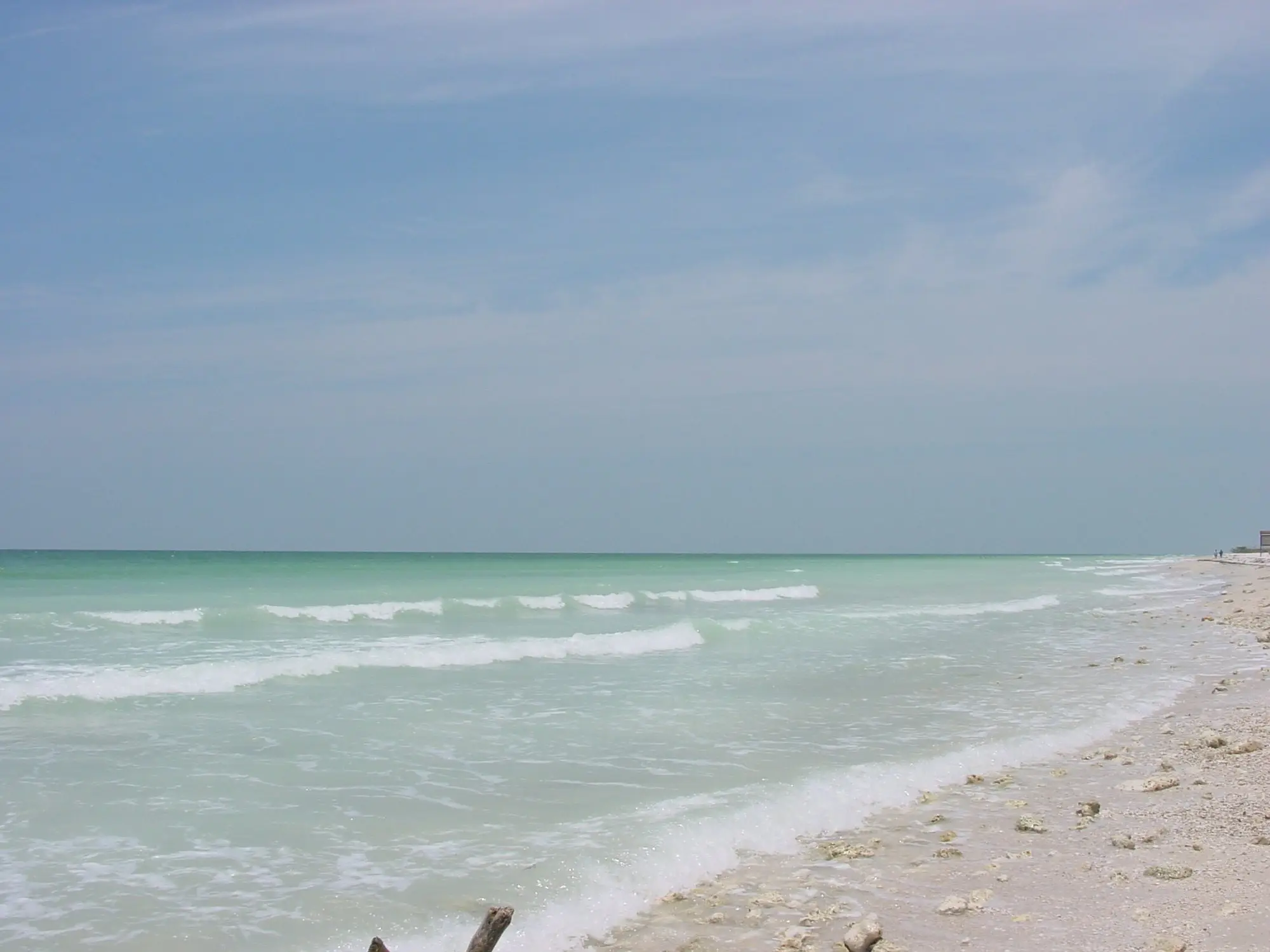 Turquoise Gulf water breaking on the shell-strewn shore at Honeymoon Island State Park