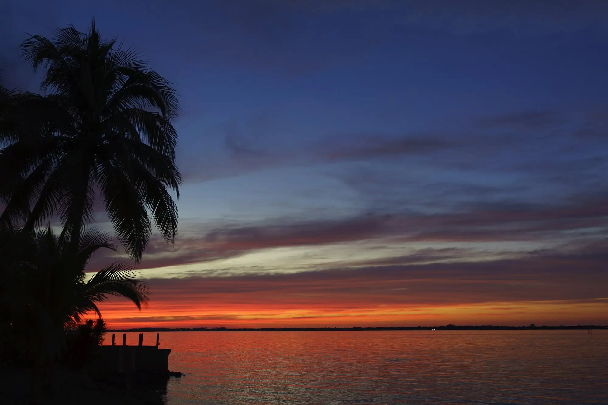 Orange sunset over the wide Caloosahatchee River framed by palms at the Edison and Ford estates in Fort Myers
