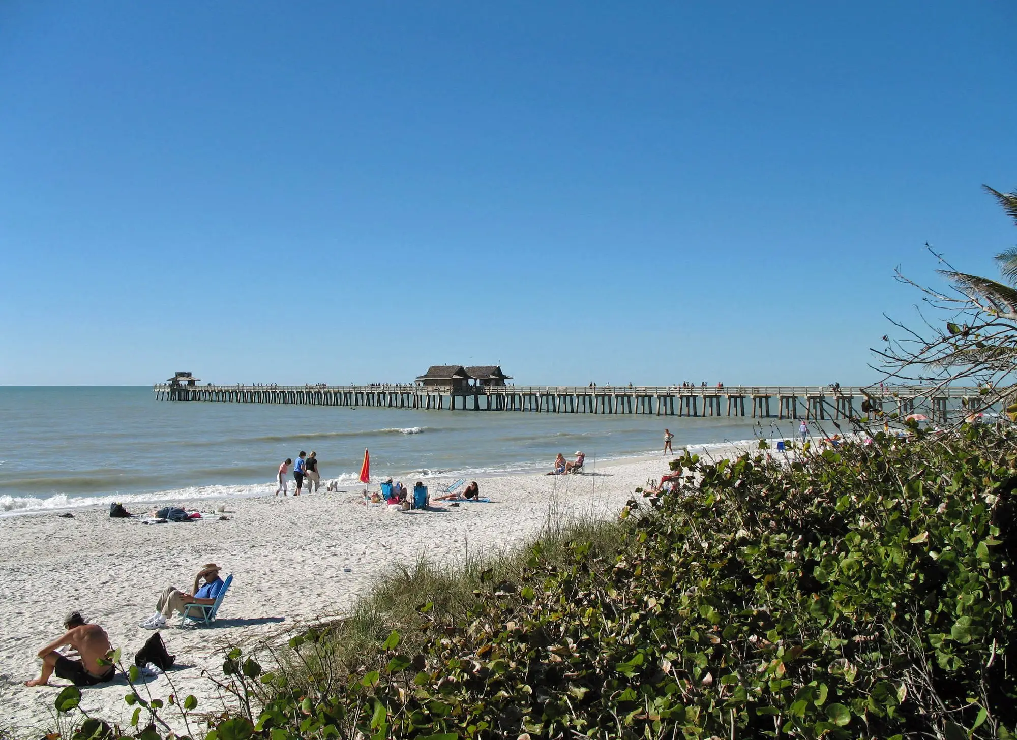 The long wooden Naples Pier stretching into the Gulf beyond a beach with swimmers and sea grape